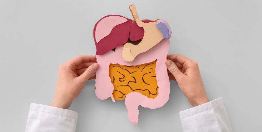 Galle, Fettaufnahme und fettlösliche Vitamine – das vergessene Bindeglied der Verdauung Galle, Fettaufnahme und fettlösliche Vitamine – das vergessene Bindeglied der Verdauung